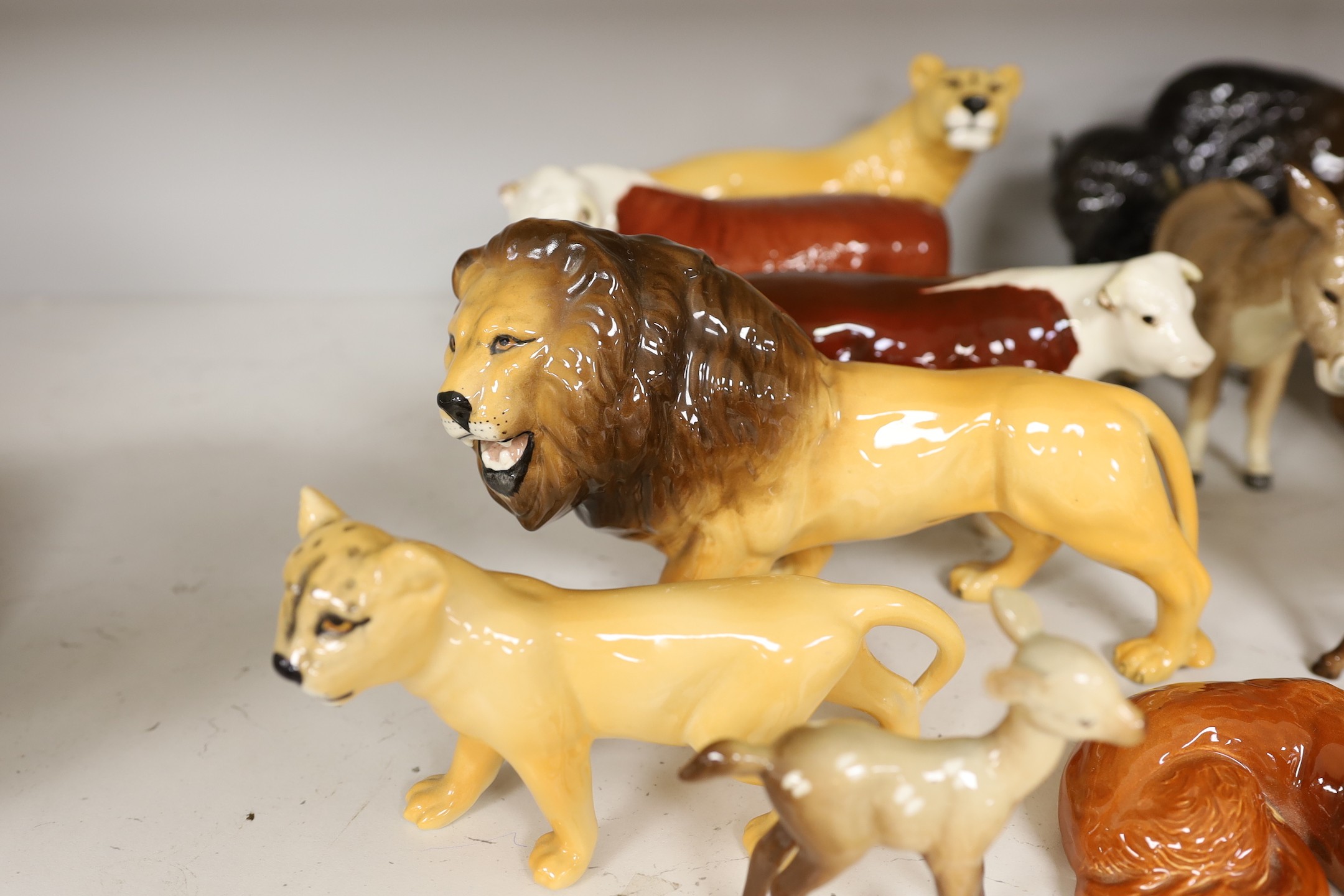 A selection of Beswick animals, to include four bulls and two calves, stag, deer, fawn, fox, panda, falcon, donkey, foal, lioness, lion, and a lion cub (17)
